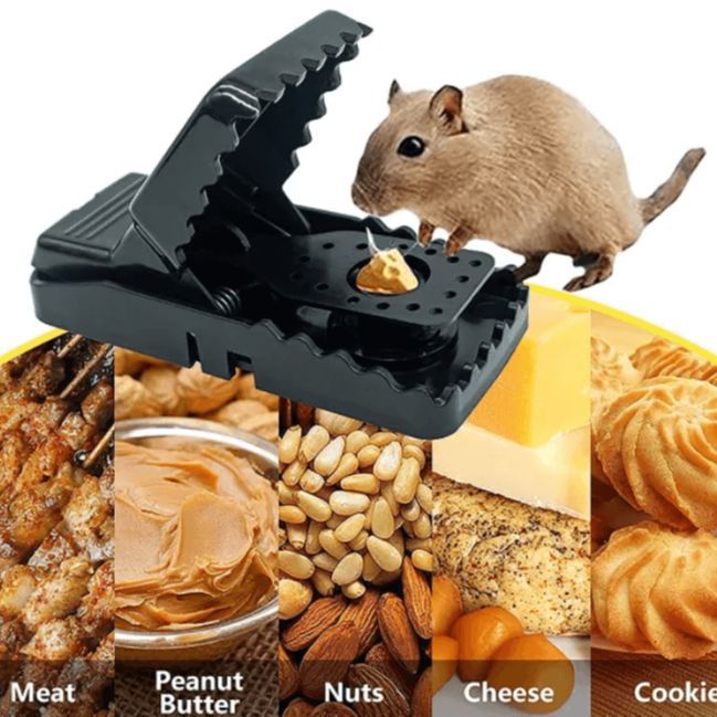 Mouse/Rat Trap For House And Office 1pcs - 3